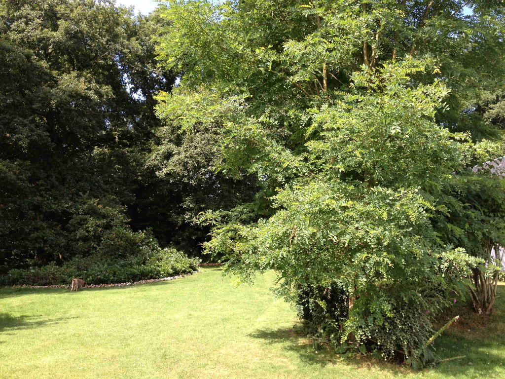 Roulotte Du Petit Bois Villa Theillement Rum bild